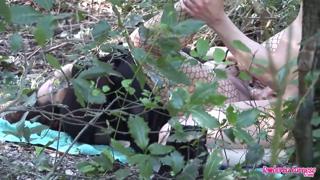 Pounded in the forest