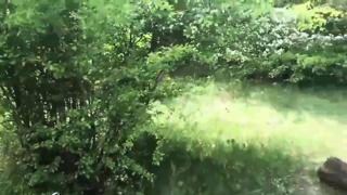 Brwn Hrdc X and Cum Out in the Woods