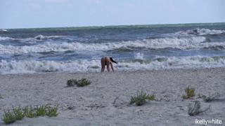 A stranger masturbates for me at the beach; come see us get it on!