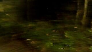 Fernanda Ribeiro's Woodsy Orgy and Beyond: Skinny Girl Hardcore